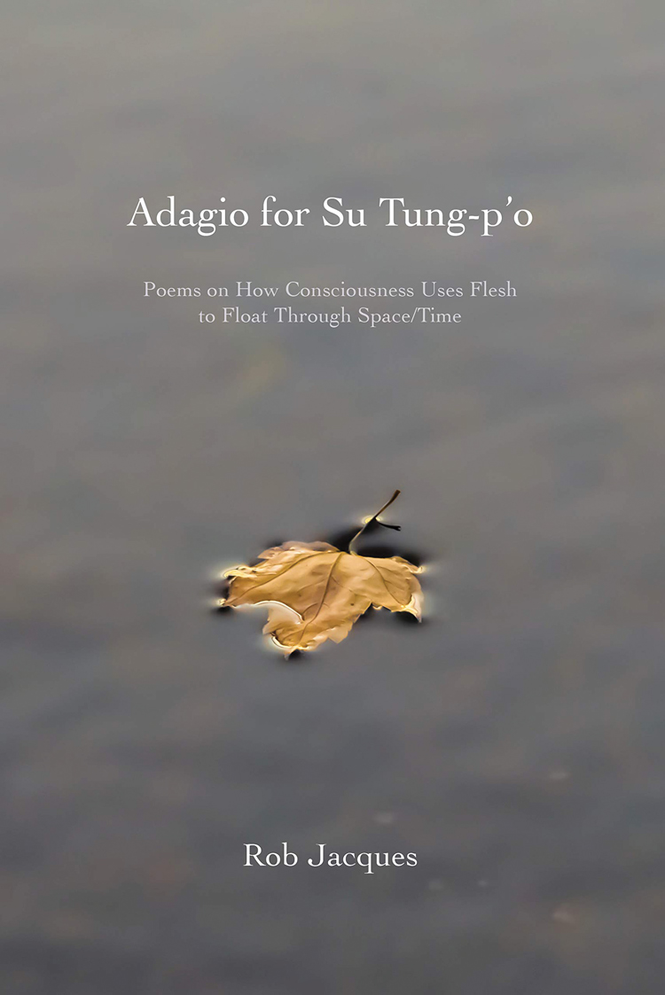Adagio For Su Tung-P'O cover