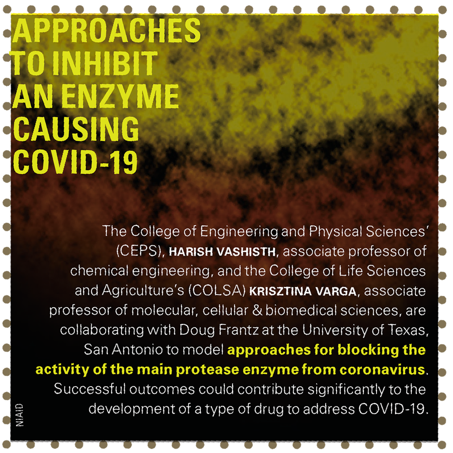 Approaches to Inhibit an Enzyme Causing COVID-19