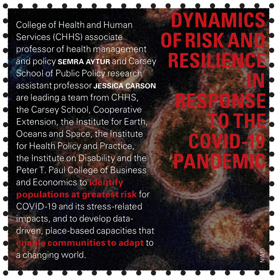 Dynamics of Risk and Resilience in Response to the COVID-19 Pandemic