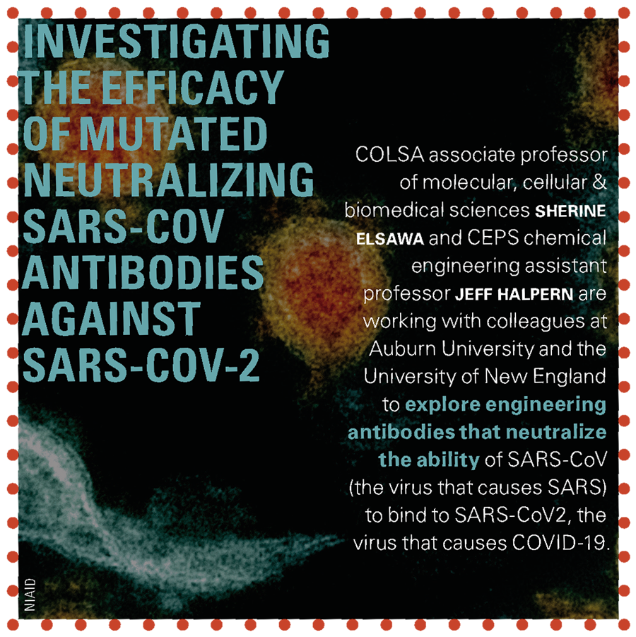 Investigating the Efficacy of Mutated Neutralizing SARS-COV Antibodies Against SARS-COV-2