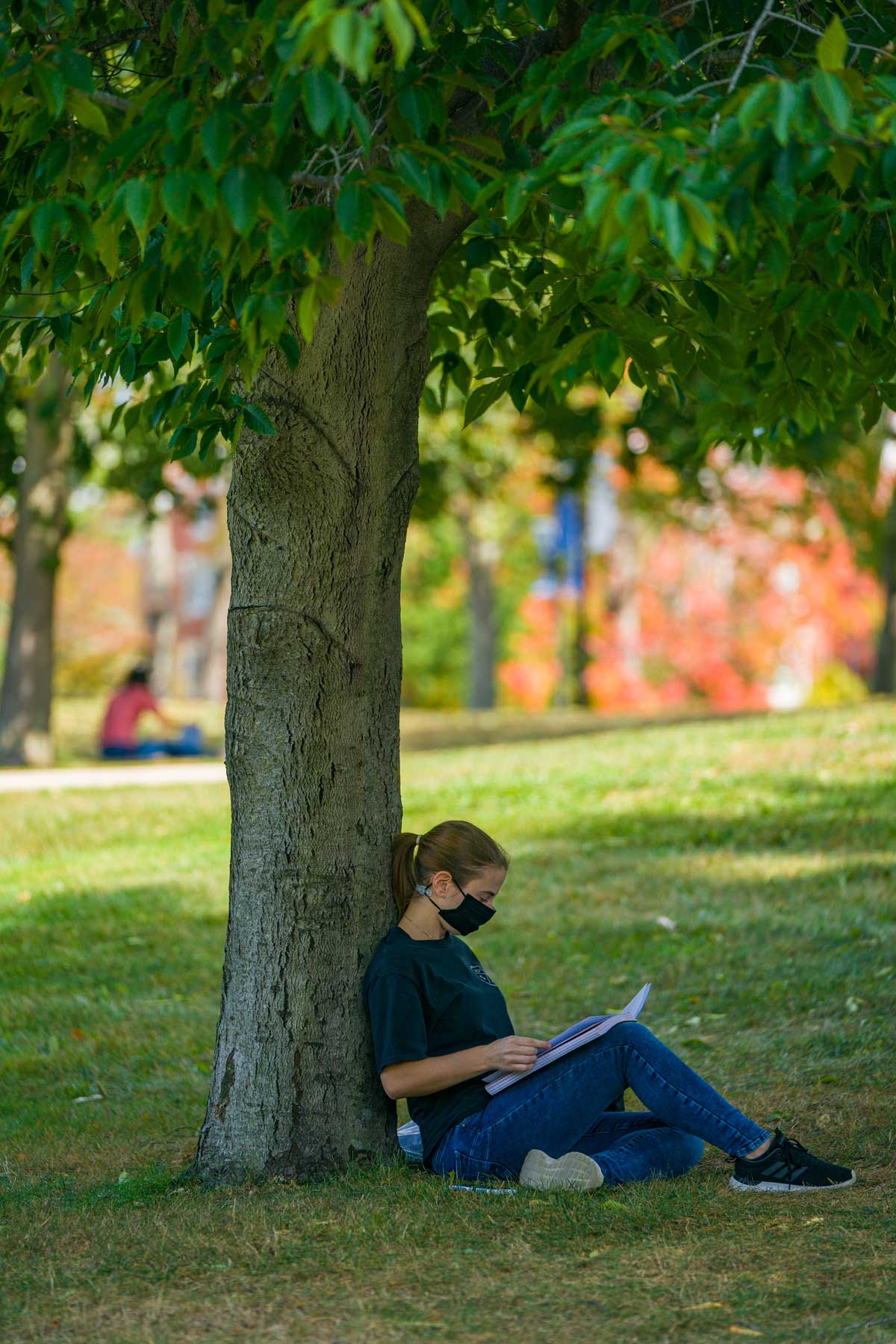 Reading notes on grass