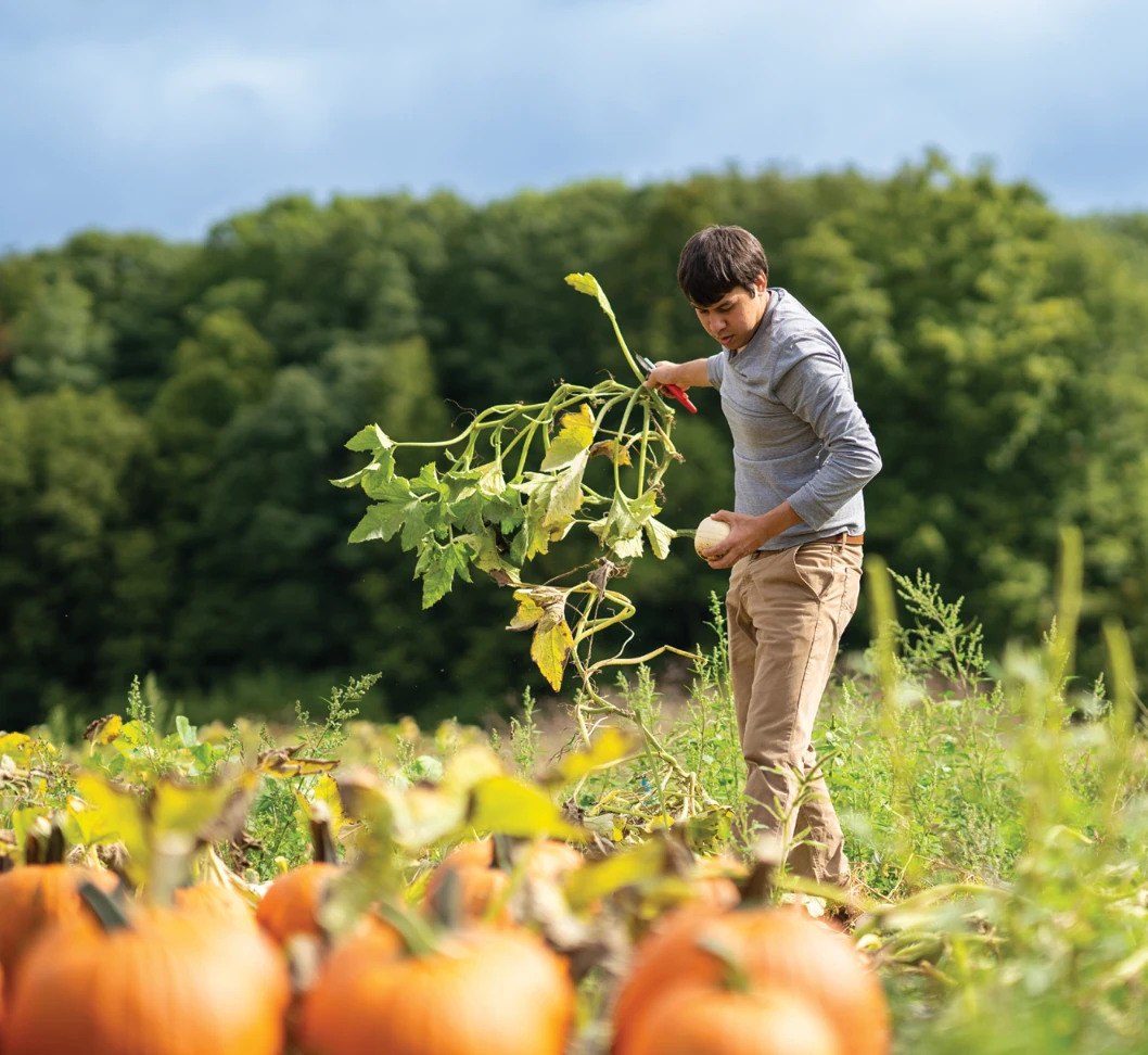 Christopher Hernandez in field of farm with pumpkins holding up stems