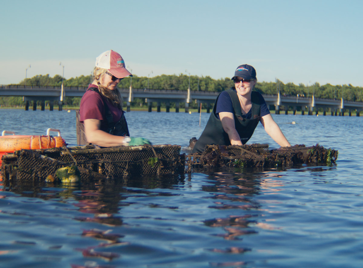Krystin Ward, a laboratory research supervisor at the UNH College of Life Sciences and Agricultur, and her sister Laura Brown, owner of Fox Point Oysters.