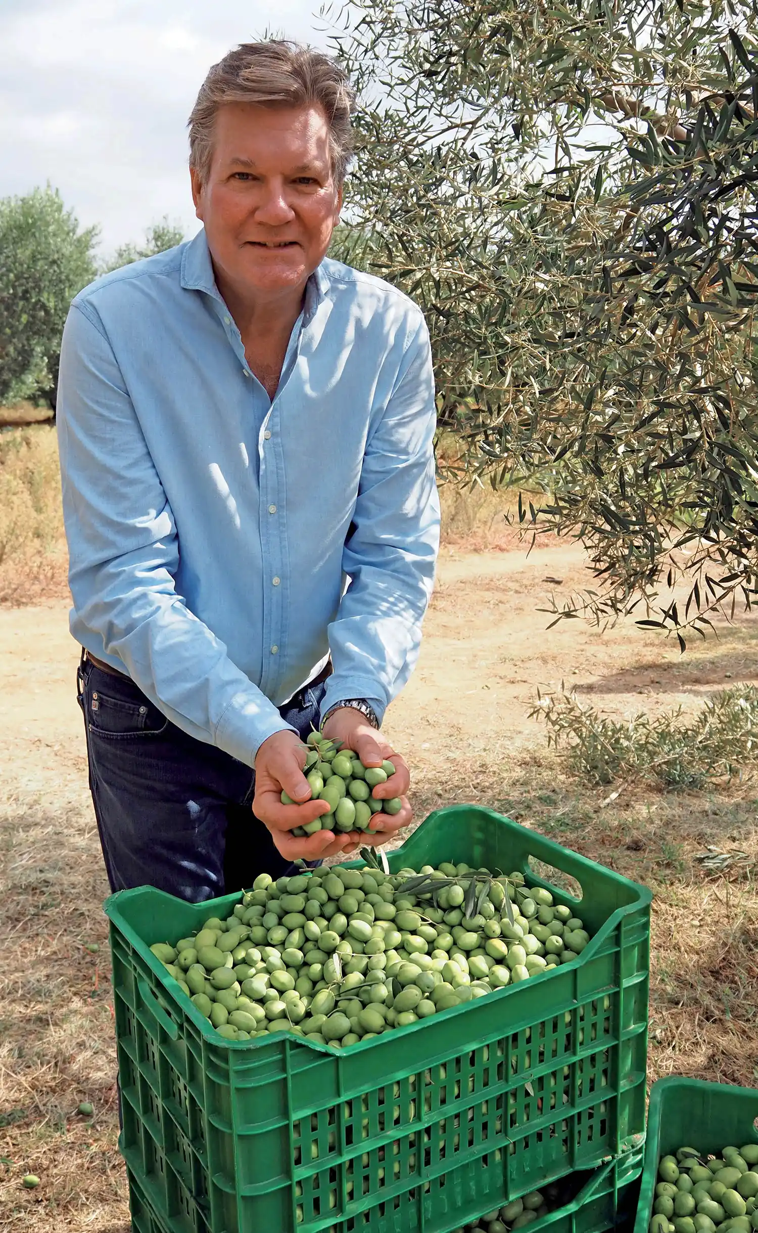 Phil Meldrum holding olives and smiling in orchard