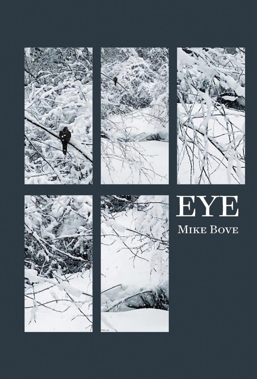 Front book cover of EYE by Mike Bove