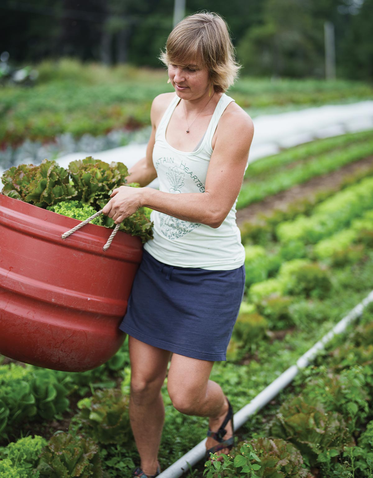 Joanne Ducas carries a large red bucket of leafy greens while walking down a crop row