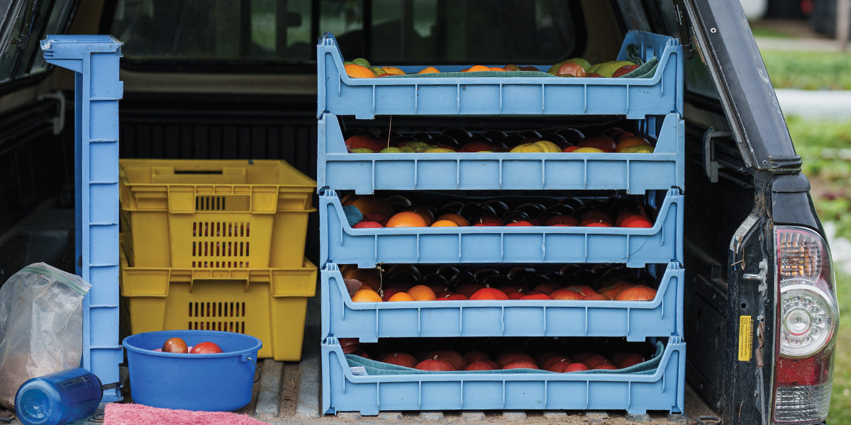 view inside a capped truck bed holding stacked trays of fruit produce