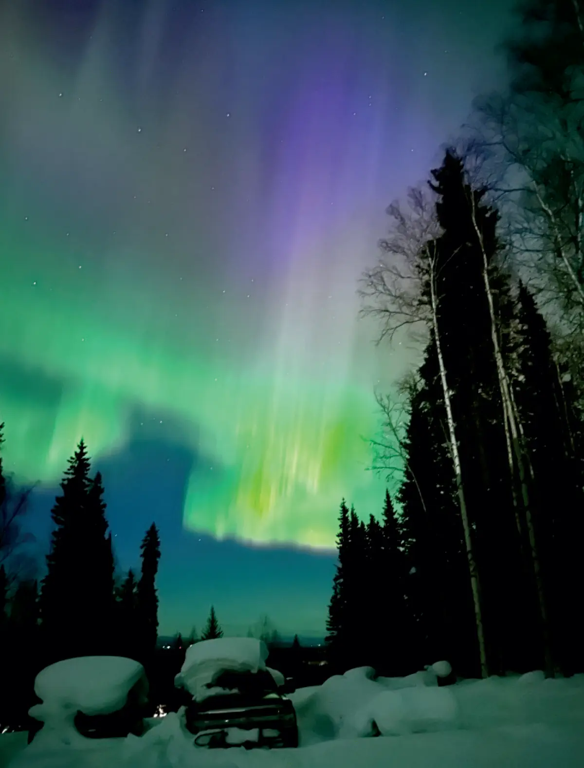 Portrait orientation outdoor photo of the Alaskan Northern Lights or aurora borealis at night with streaks of vibrant green and purple light illuminating a night sky filled with stars; The foreground shows a snow-covered landscape with pine trees and a snowmobile, with some tall, bare trees on the right; This photograph was taken by Leslie Spilman ’78