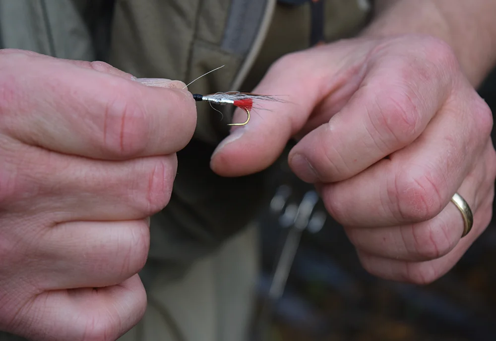 A close-up shot of a person's hands holding a red and white artificial fishing fly with a golden hook.