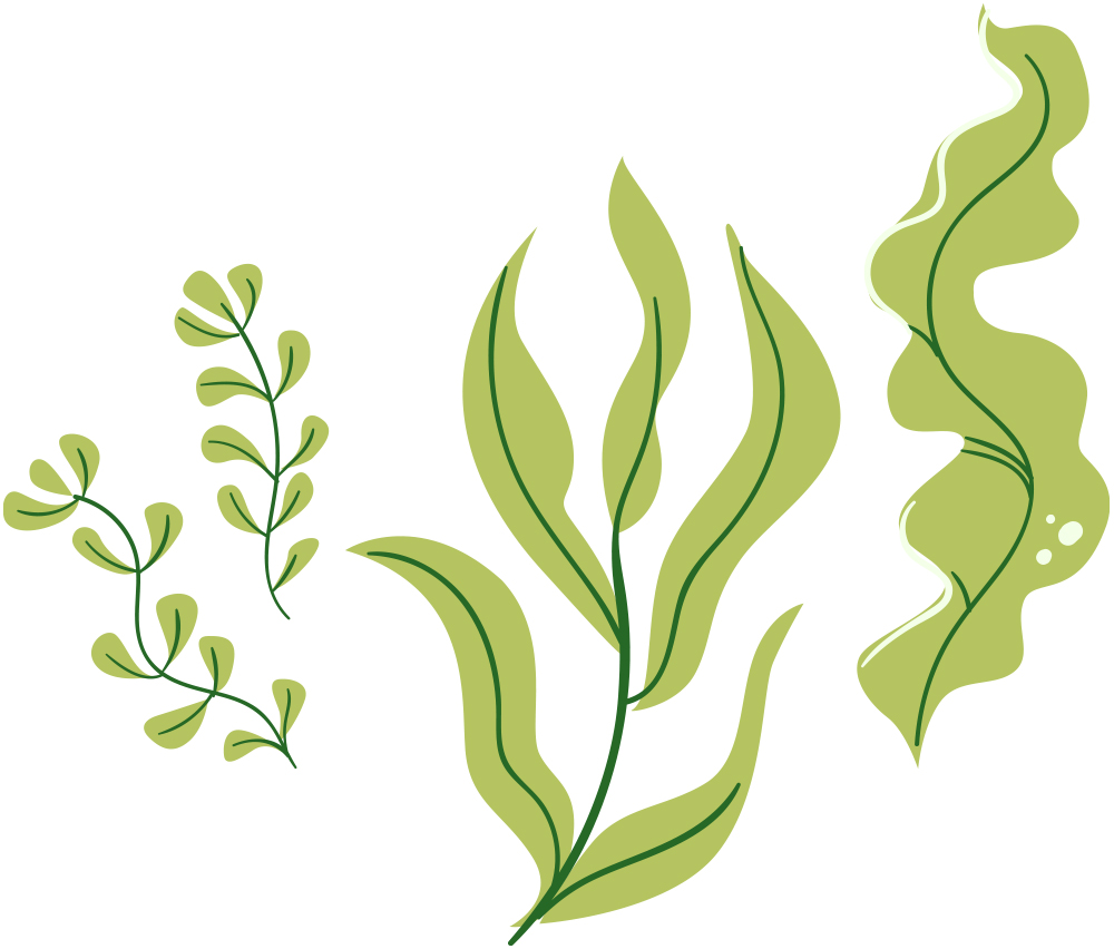 Illustration of water plants