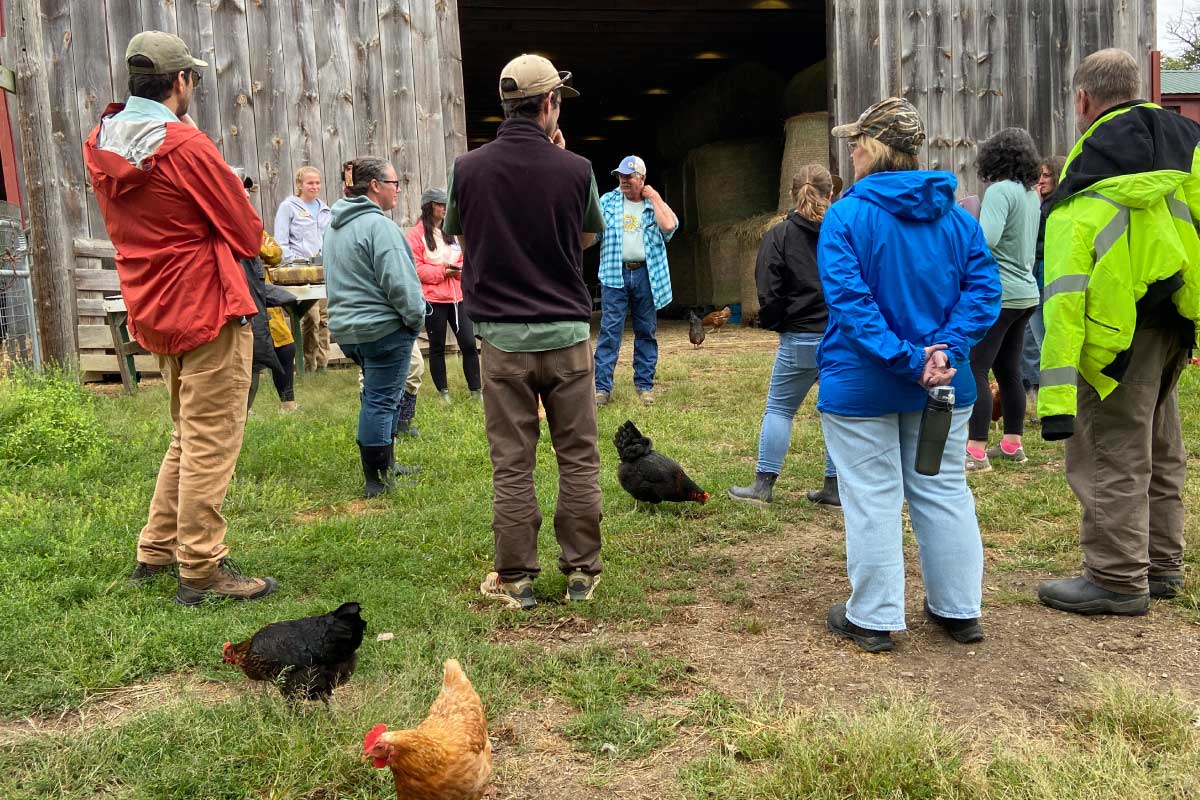 Group of people gathering outside a wooden barn with free-roaming chickens around their feet.
