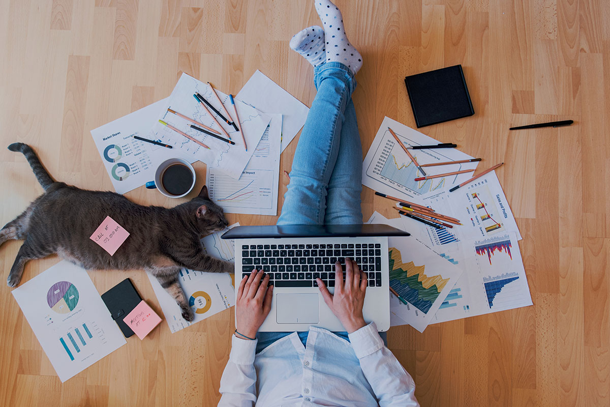Top-down view of someone working on a laptop on the floor alongside a grey cat and documents.