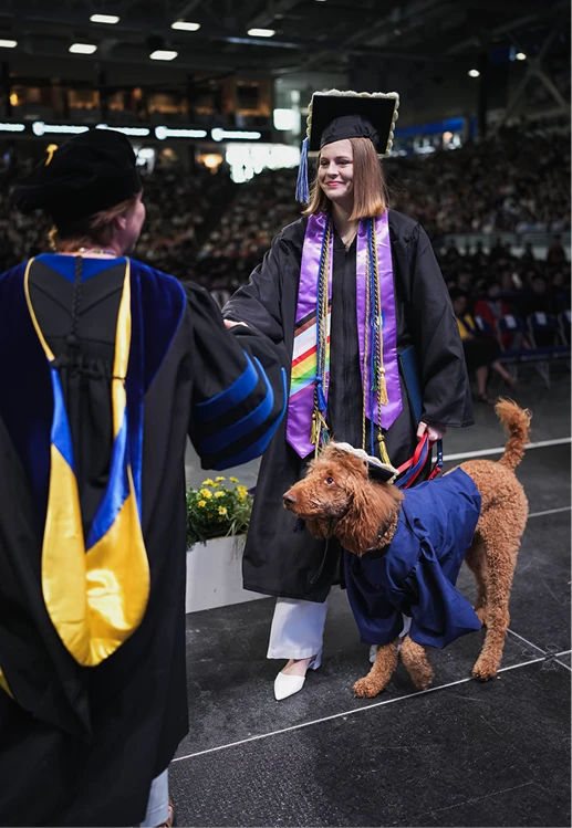 A graduate accompanied by a curly-haired dog in a blue gown shakes hands with a university official onstage.