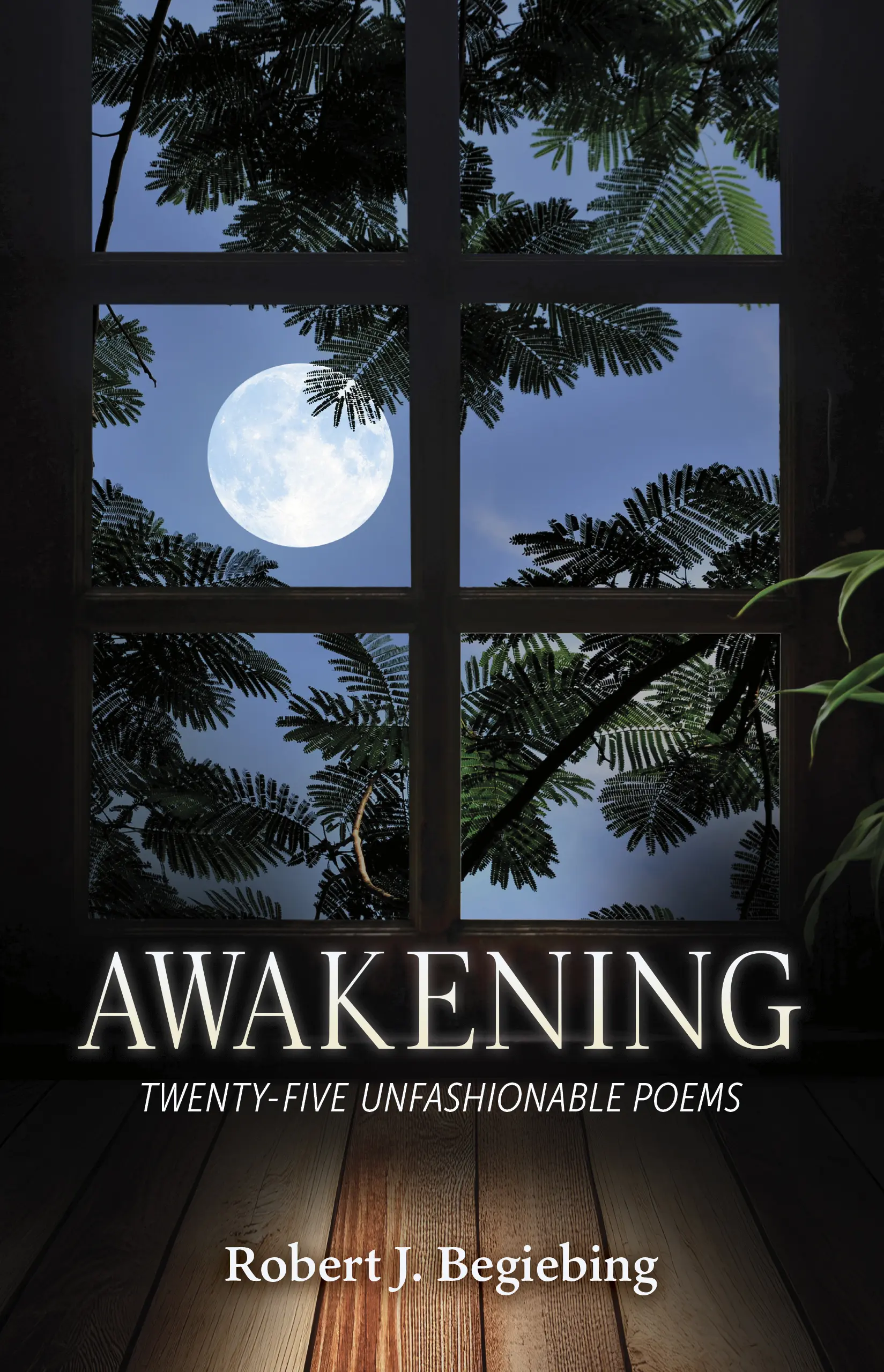 Cover of Robert J. Begiebing’s poetry collection, Awakening: Twenty-Five Unfashionable Poems, featuring a moon seen through a window framed by evergreen branches.
