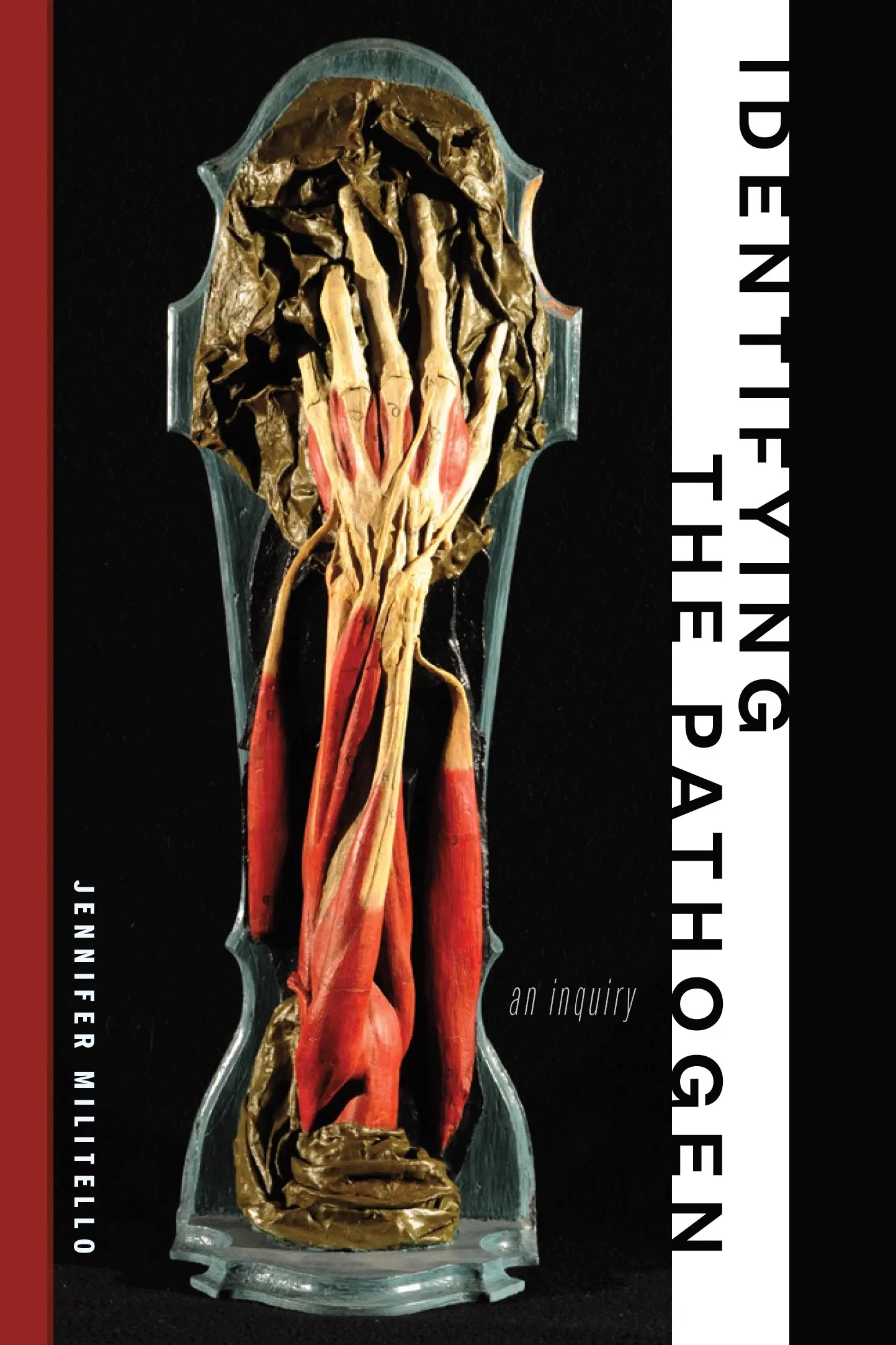 Cover of Identifying the Pathogen: An Autopsy by Amy Rogers, featuring a stylized anatomical specimen against a black background.
